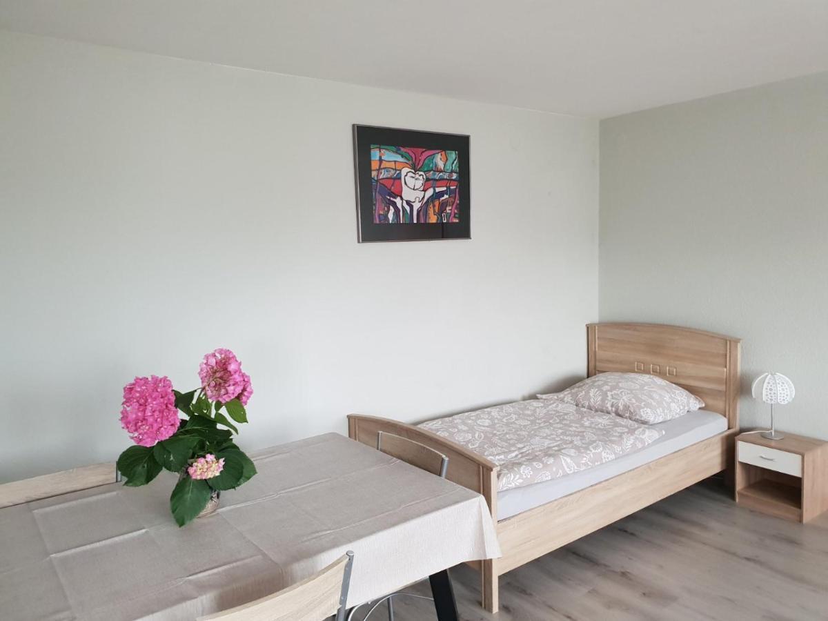 Mainzimmer Business Appartment - Monteurwohnung Mit Burgblick Wertheim Zewnętrze zdjęcie