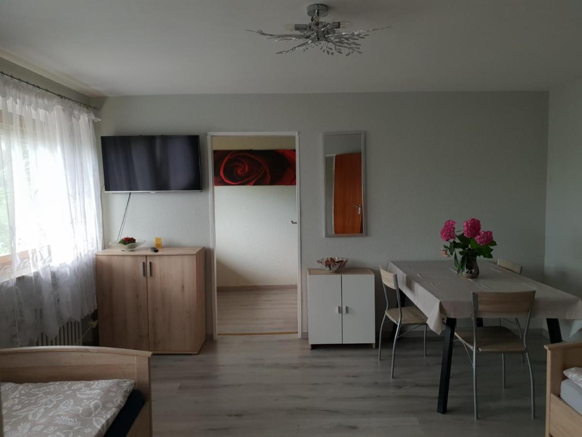 Mainzimmer Business Appartment - Monteurwohnung Mit Burgblick Wertheim Zewnętrze zdjęcie