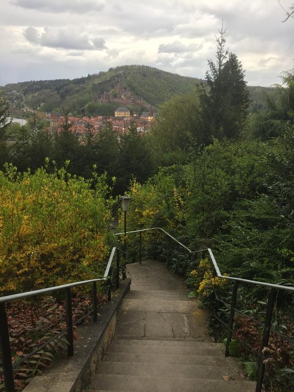 Mainzimmer Business Appartment - Monteurwohnung Mit Burgblick Wertheim Zewnętrze zdjęcie