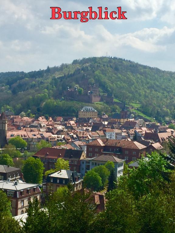 Mainzimmer Business Appartment - Monteurwohnung Mit Burgblick Wertheim Zewnętrze zdjęcie