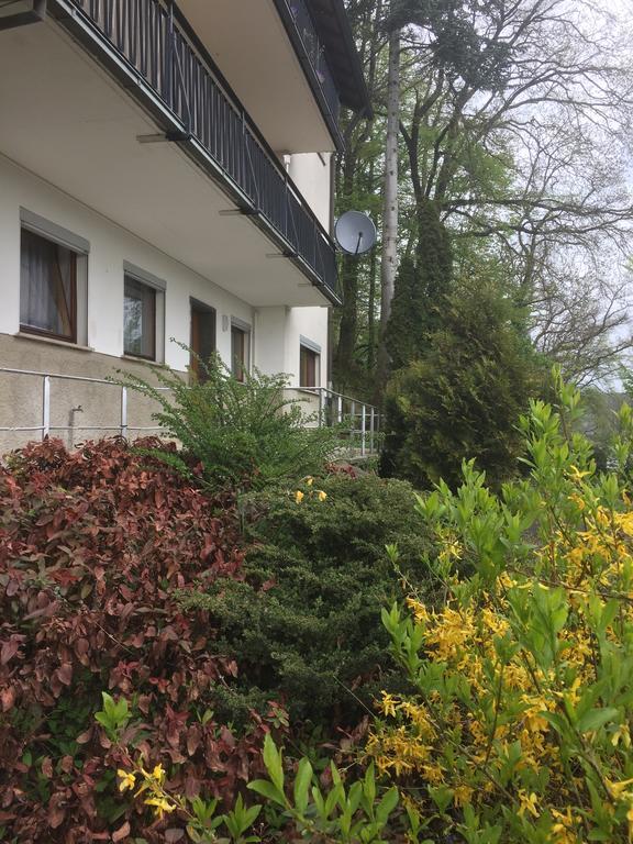 Mainzimmer Business Appartment - Monteurwohnung Mit Burgblick Wertheim Zewnętrze zdjęcie